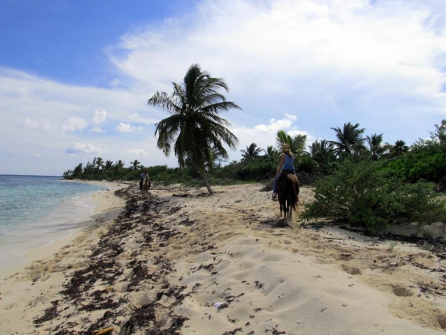 En el Caribe